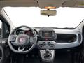 FIAT PANDA III 2021 1.0 firefly hybrid City Life s&s 70cv 5p.ti