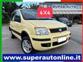 FIAT PANDA 1.2 4x4 Climbing