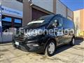 FORD TRANSIT CUSTOM Ford Custom Coibentato Isotermico Frigorifero