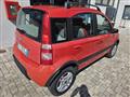 FIAT PANDA VAN Panda 1.2 Climbing 4x4 OK NEO PATENTATO