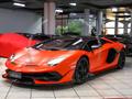 LAMBORGHINI AVENTADOR SVJ ROADSTER|1 OF 800|FULL CARBON|SPECIAL COLOR