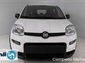 FIAT PANDA CROSS Panda 1.0 70cv Hybrid Panda My23