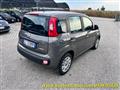 FIAT PANDA 1.0 FireFly S&S Hybrid / Kit 5 Posti