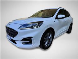 FORD KUGA 1.5 EcoBlue 120 CV 2WD ST-Line