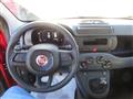 FIAT PANDA 1.0 FireFly S&S Hybrid Pandina