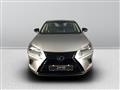 LEXUS NX I 2018 -  2.5 Luxury 4wd cvt