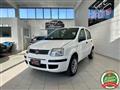 FIAT PANDA 1.2 Natural Power *NEOPATENTATI*