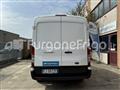 FORD TRANSIT Coibentato Isotermico Frigorifero