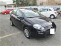 FIAT PUNTO 1.2 8V 5 porte Lounge