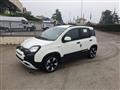 FIAT PANDA 1.0 FireFly S&S Hybrid Pandina