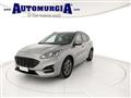 FORD KUGA 1.5 EcoBlue 120 CV 2WD ST-Line