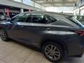 LEXUS NX Hybrid 4WD Business