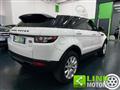 LAND ROVER RANGE ROVER EVOQUE 2.2 TD4 5p. Prestige Km Certificati