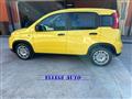 FIAT PANDA PANDINA 1.0  Hybrid  KM  0