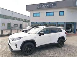 TOYOTA RAV4 2.5 HV (222CV) E-CVT AWD-i Business