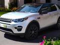 LAND ROVER Discovery Sport Discovery Sport I 2018 2.0 td4 HSE awd 150cv auto