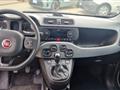 FIAT PANDA 1.3 MJT 95 CV S&S Lounge