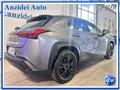 LEXUS UX Hybrid Business