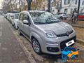 FIAT PANDA 1.2 Pop Star TAGLIANDI FIAT