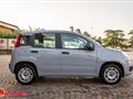 FIAT PANDA 1.2 Easy NEOPATENTATI