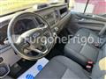 FORD TRANSIT CUSTOM Ford Custom Coibentato Isotermico Frigorifero