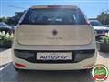 FIAT PUNTO 1.2 5 porte S&S Dynamic