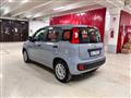 FIAT PANDA III 2021 -  1.0 firefly hybrid s&s 70cv