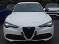 ALFA ROMEO STELVIO SPRINT N1 AUTOCARRO 5 POSTI 2.2 Turbodiesel 160 CV AT8 RWD