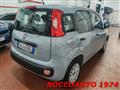 FIAT PANDA 1.2 Easy PREZZO REALE  5 POSTI RUOTINO