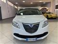 LANCIA YPSILON 1.2 69 CV 5 porte Elefantino