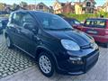 FIAT PANDA 1.0 FireFly S&S Hybrid +pack