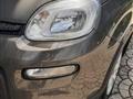 FIAT PANDA 1.0 FireFly S&S Hybrid OK NEOPATENTATI-  -