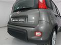 FIAT PANDA 1.0 FIREFLY S&amp;S HYBRID