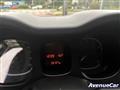 FIAT PANDA 1.0 firefly hybrid ADATTA PER NEOPATENTATI IVA ESP