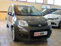 FIAT PANDA GPL Casa Madre Lounge