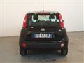 FIAT PANDA 1.2 Easy CLIMA eu6-NEOPATENTATI km 22.000