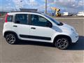 FIAT Panda 1.0 firefly hybrid City Life s&s 70cv