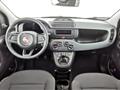 FIAT PANDA 1.0 FireFly S&S Hybrid - KM ZERO