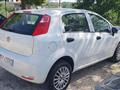 FIAT PUNTO 1.4 8V 5 porte Natural Power Street