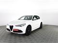 ALFA ROMEO STELVIO 2.2 Turbodiesel 210 CV AT8 Q4 Veloce