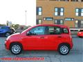 FIAT PANDA 1.2 Benz/GPL 69CV - UNIPRO TAGLIANDATA