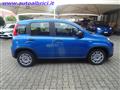 FIAT PANDA 1.0 FIREFLY 70 CV S&S HYBRID KM0