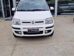 FIAT PANDA 1.3 MJT 16V DPF Dynamic