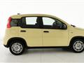 FIAT PANDA 1.0 FireFly S&S Hybrid - KM ZERO