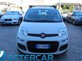 FIAT PANDA 1.2 Easy NEOPATENTATI