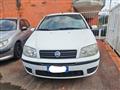 FIAT PUNTO 1.2 5 porte Active Natural Power