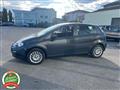 FIAT PUNTO 1.2 8V 5 porte Lounge - PER NEOPATENTATO -