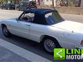 ALFA ROMEO SPIDER 1.6 Junior TARGA ORO