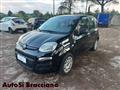 FIAT PANDA 1.2 POP ADATTA A NEO PATENTATI