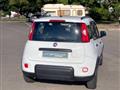 FIAT Panda 1.0 firefly hybrid City Life s&s 70cv